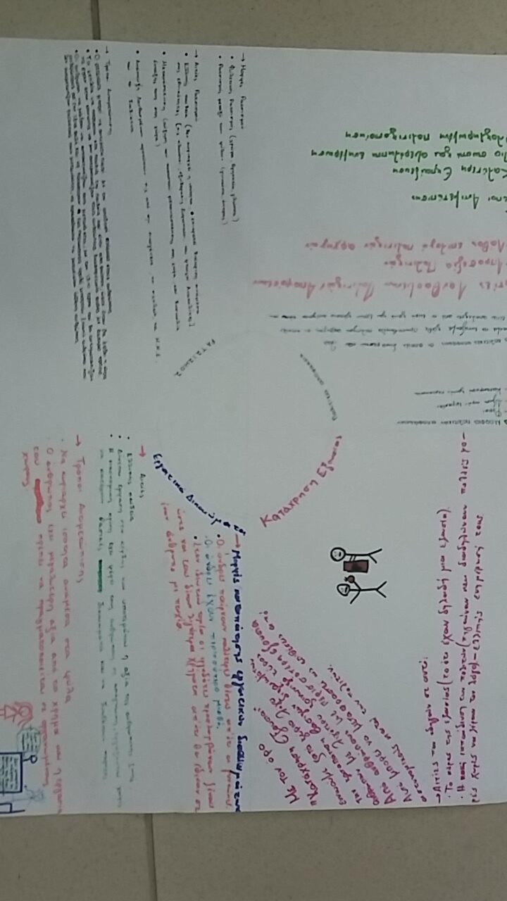 3ο γελ πετρουπολης εγκληματικοτητα8